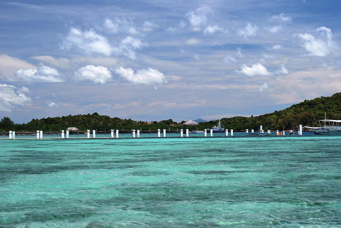 DSC_1342.jpg