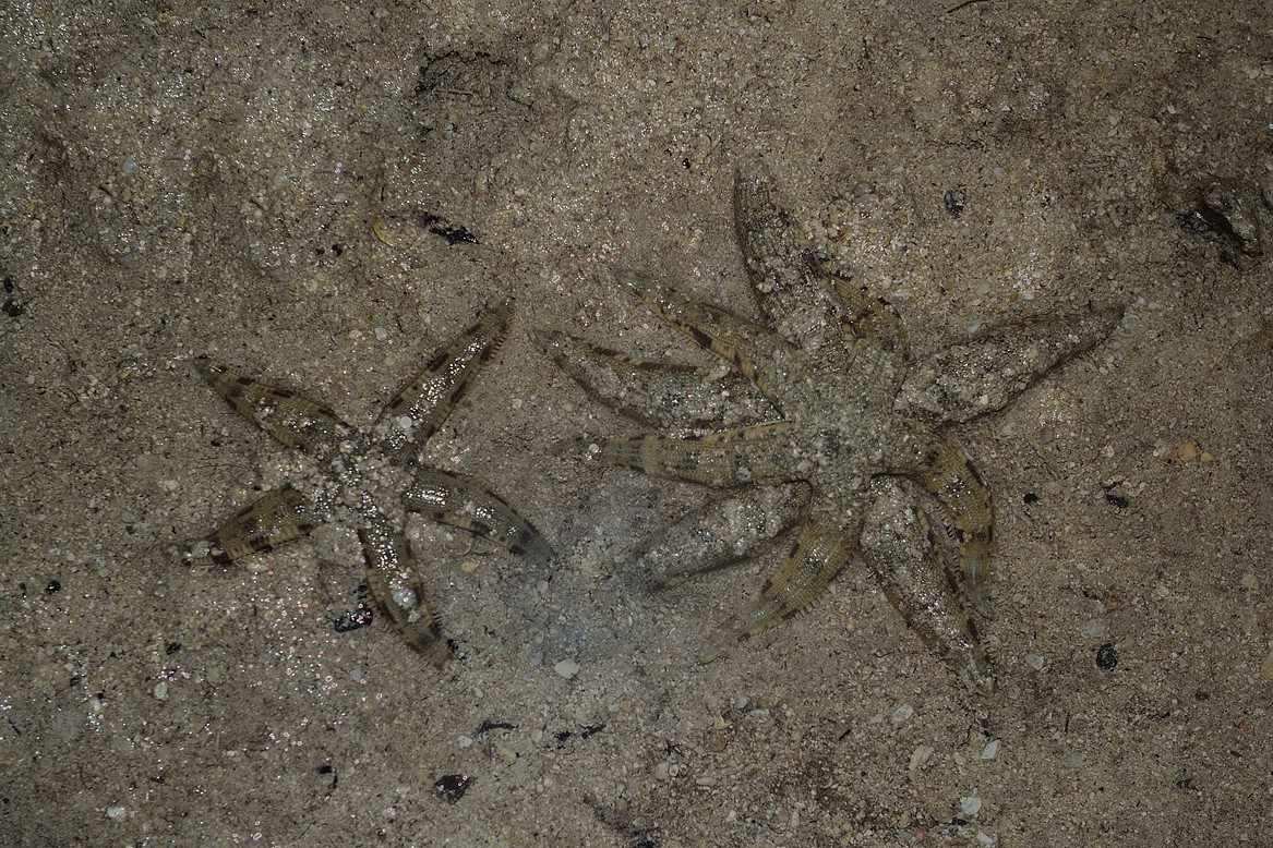 DSC_1434.jpg