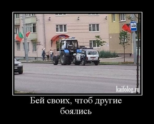 1309849I.jpg