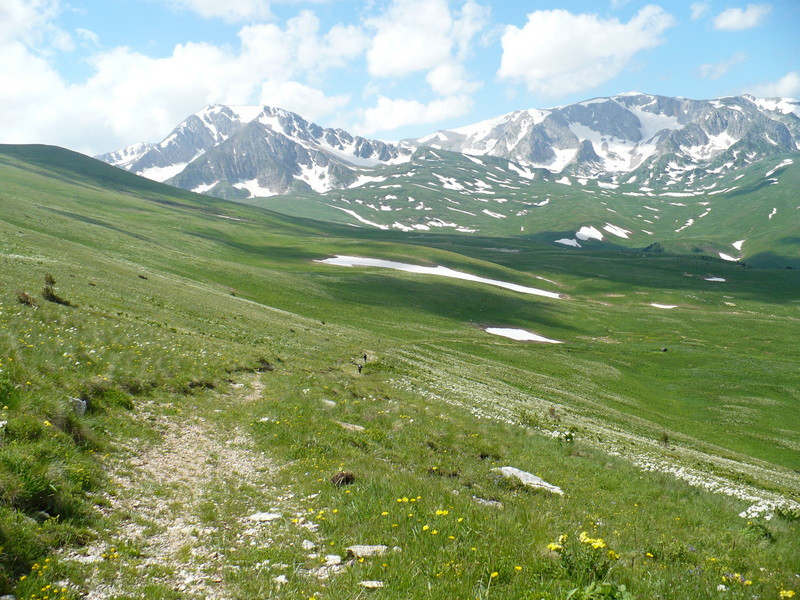 P1050022.jpg