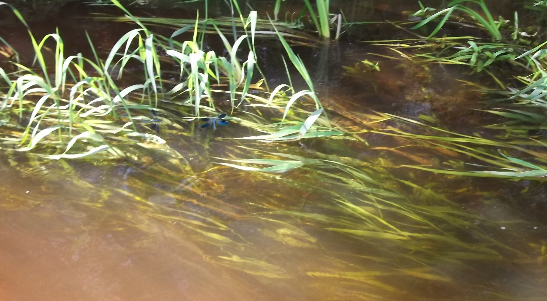 DSCF1762.JPG