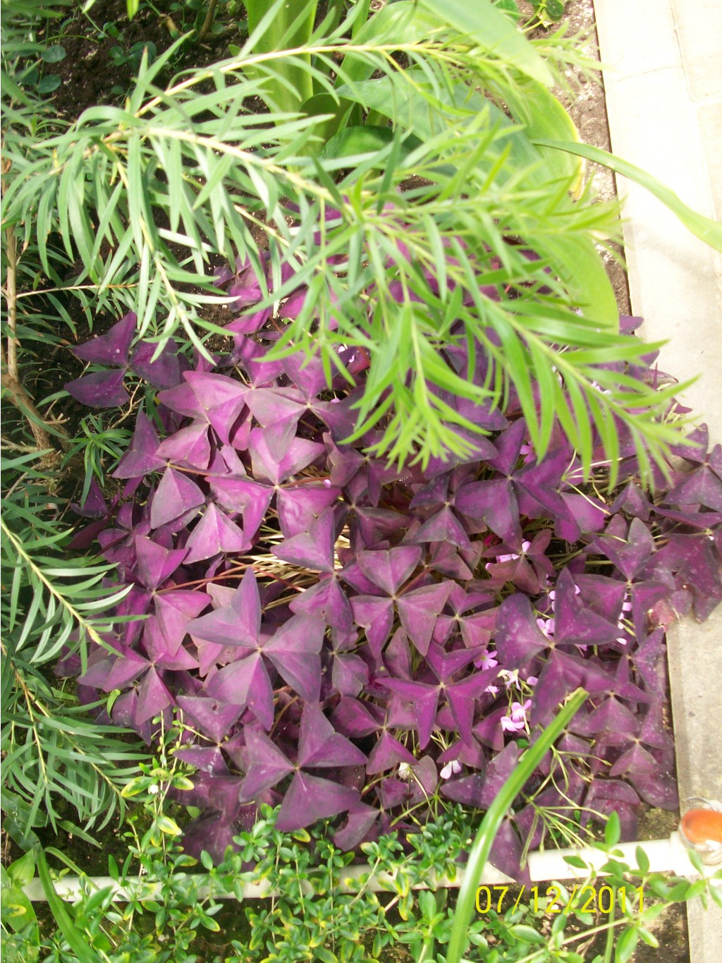 100_3560.JPG