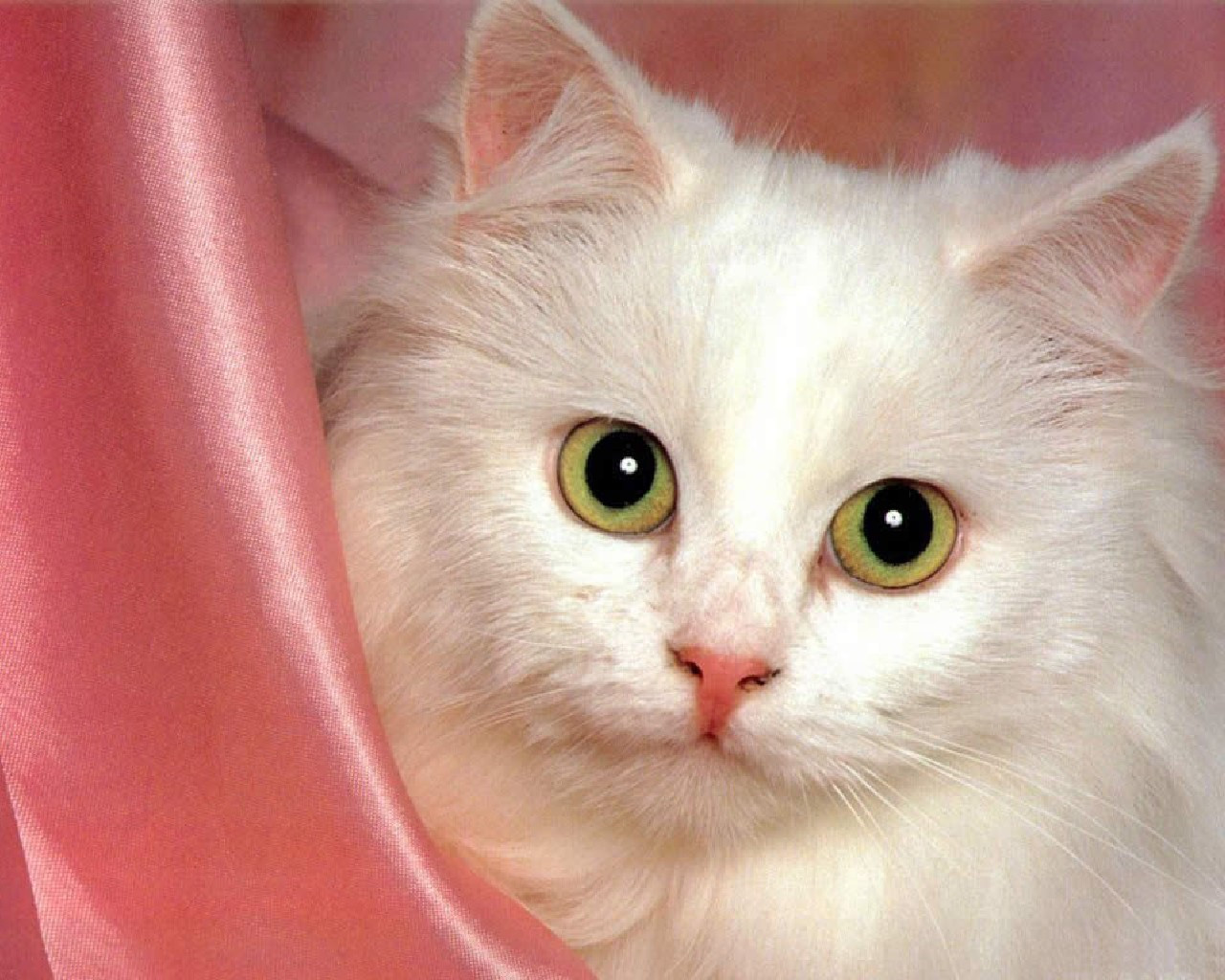 13.07.2011 16:54:14