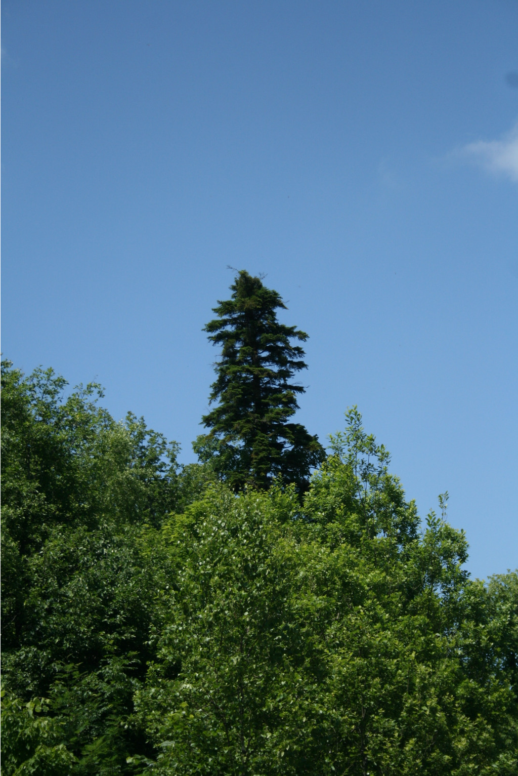  341.jpg