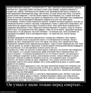 215106_on-uznal-o-laske-tolko-pered-smertyu_thumbnail.jpg