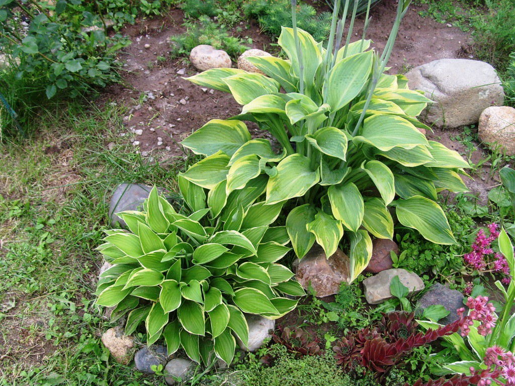 S73R8343.JPG