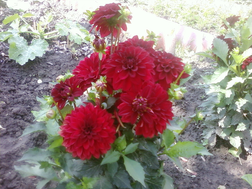 SP_A0041.jpg