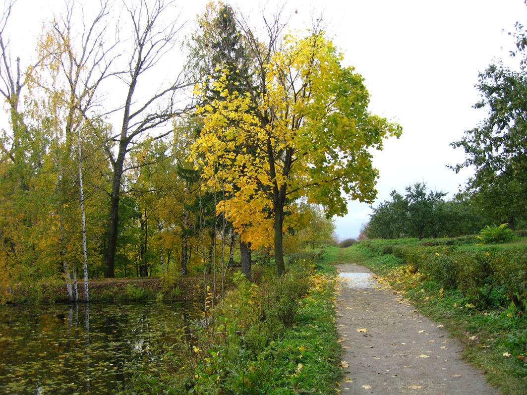 19.10.2006 12:26:37
