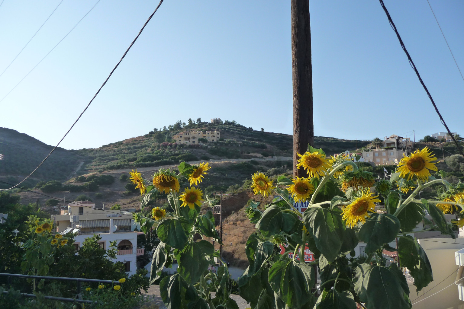 P1060031.JPG