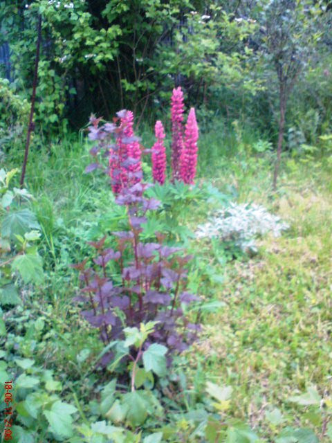 DSC00125.JPG