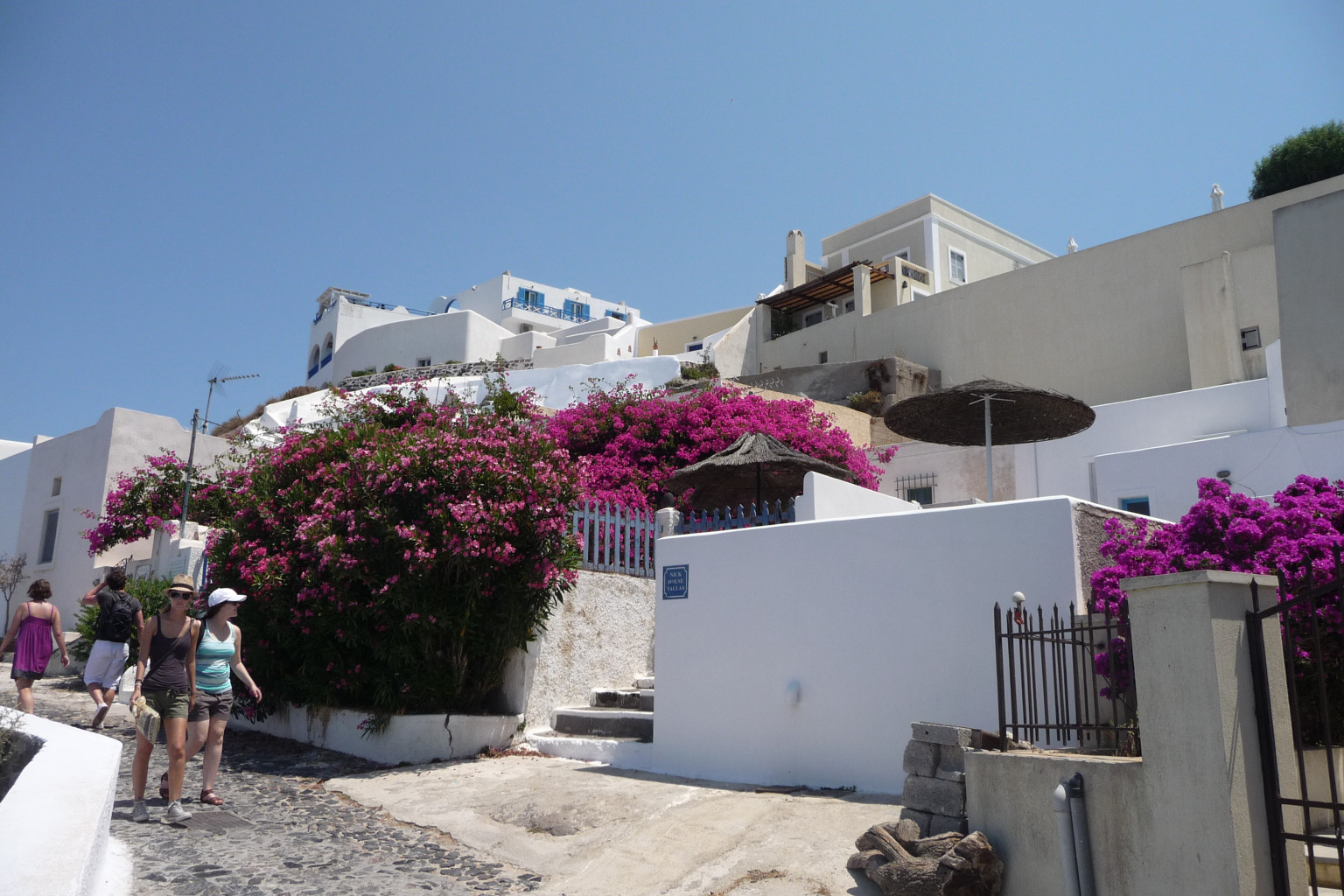 Santorini_Thira_Zabor_Flowers.JPG