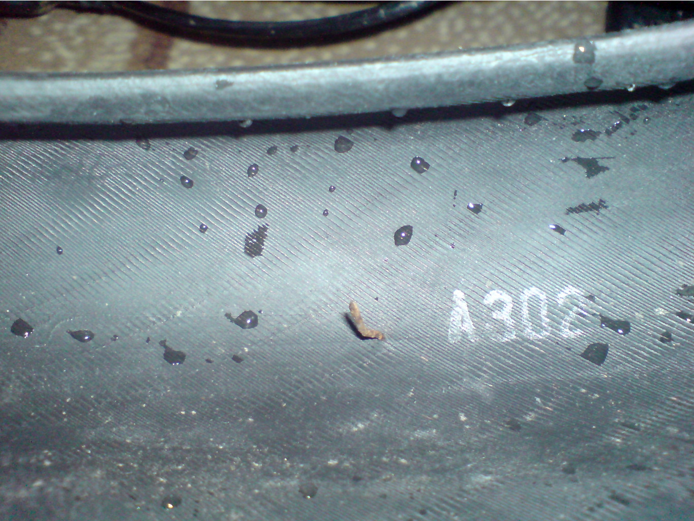 DSC03118.JPG