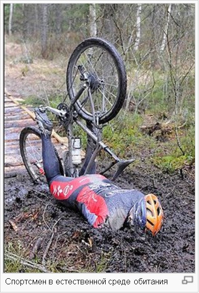 dirtBiker.jpg