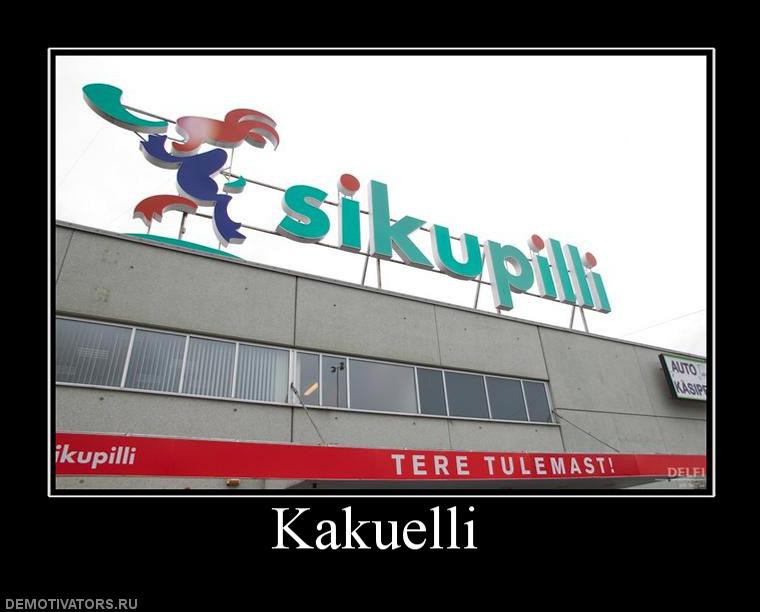 339069_kakuelli.jpg