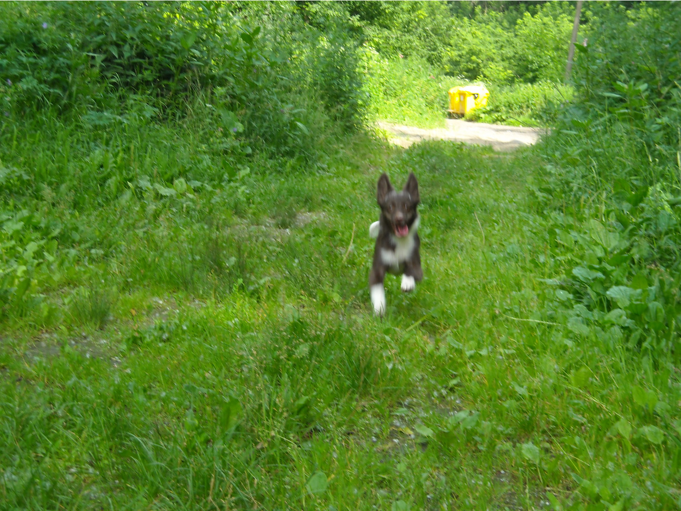 DSCN1878.JPG
