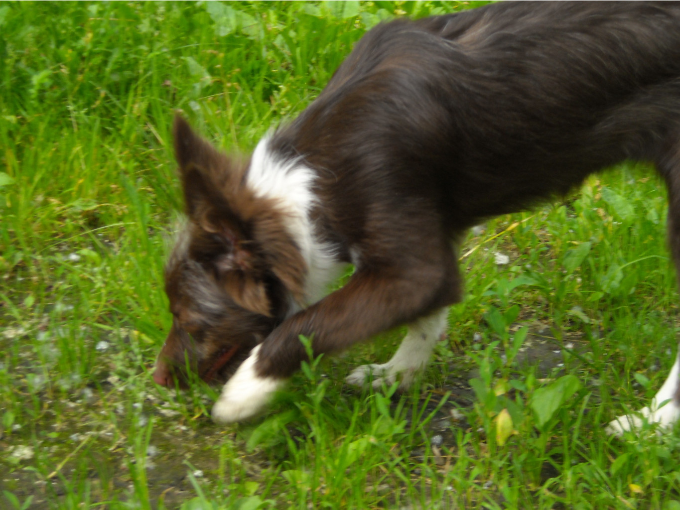 DSCN1881.JPG