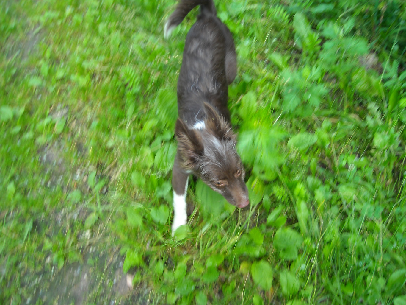 DSCN1887.JPG