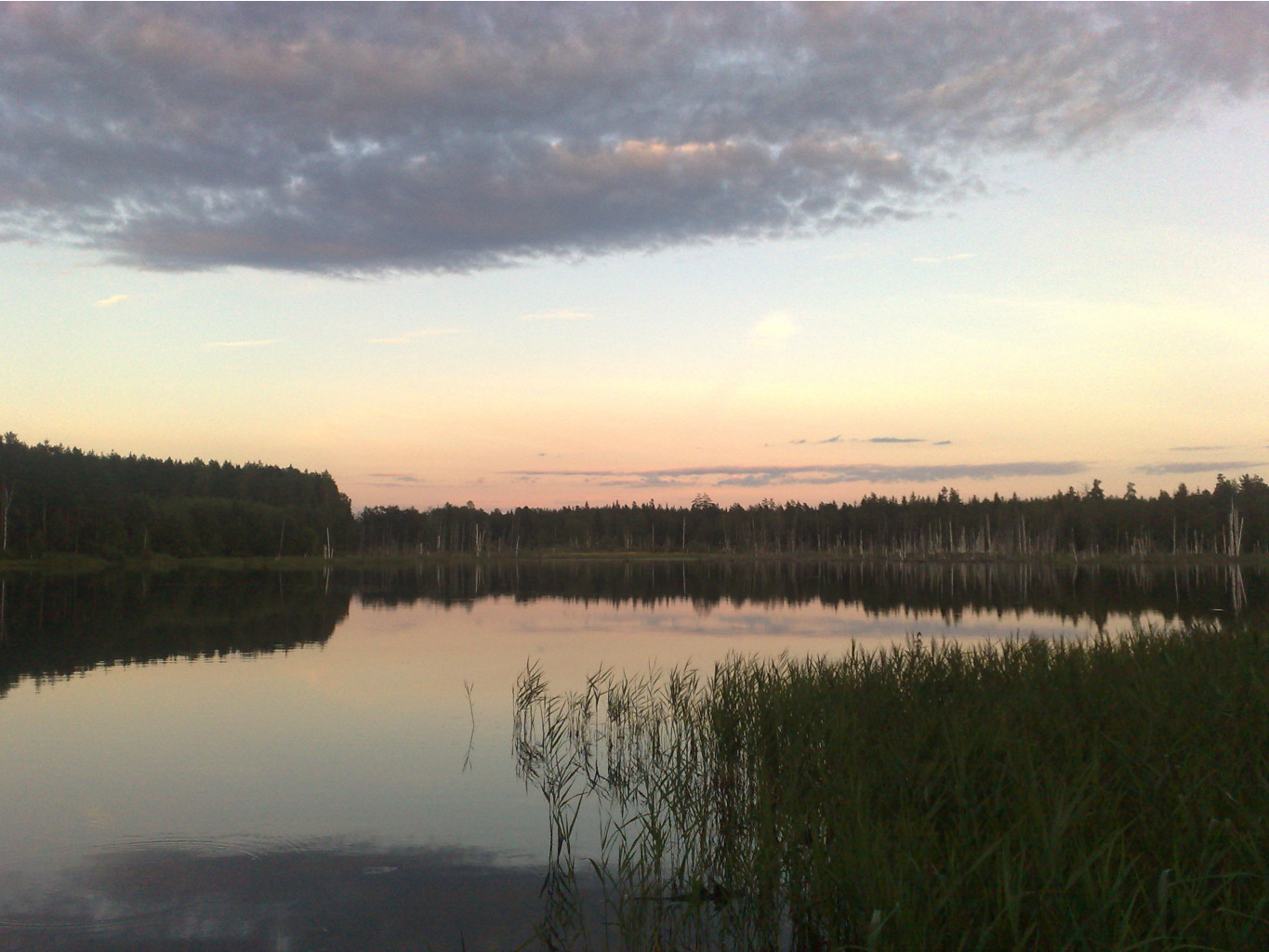 050820111169.jpg