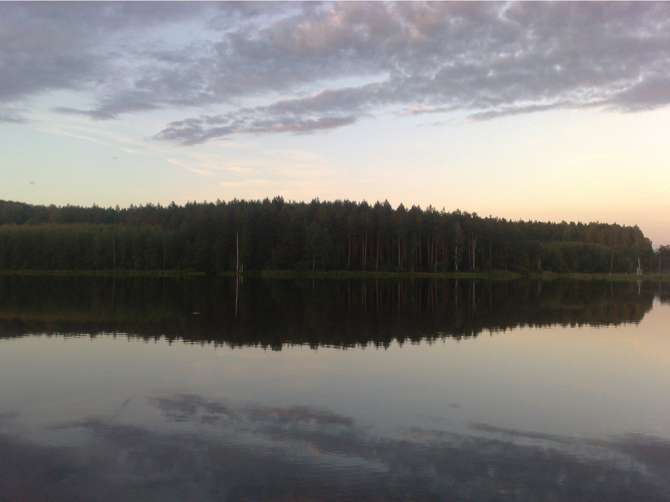050820111171.jpg