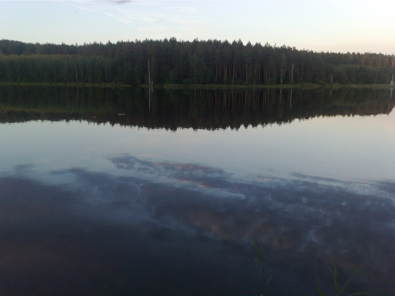 050820111172.jpg