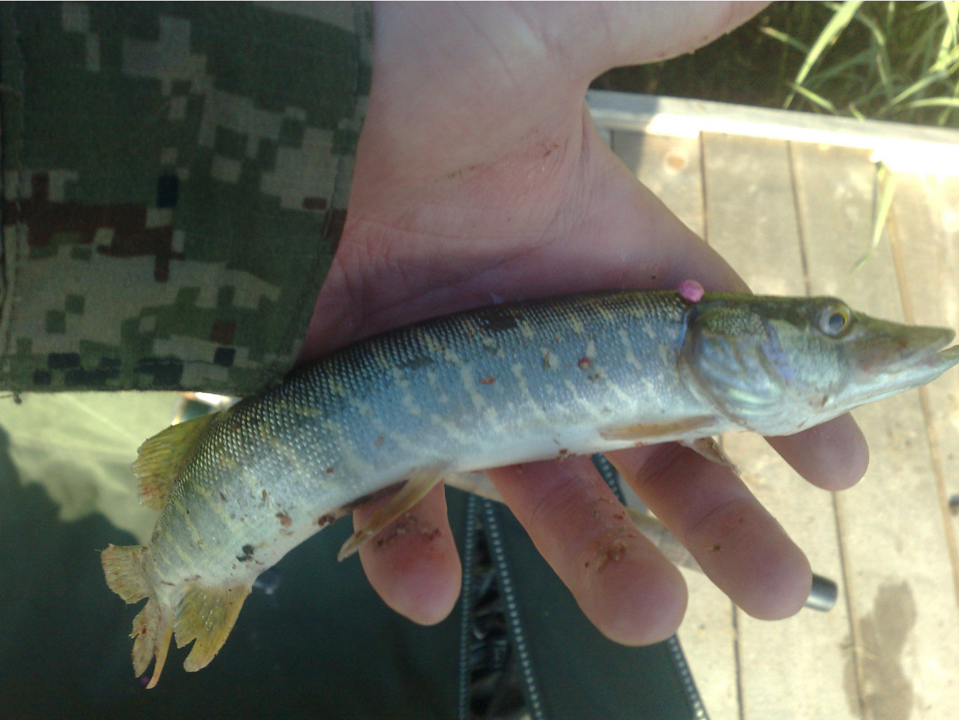 060820111176.jpg