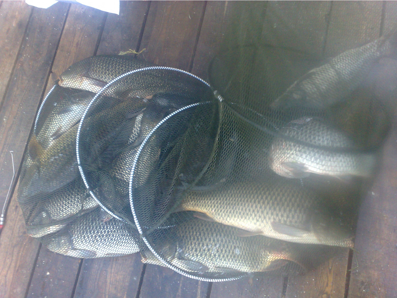 060820111177.jpg