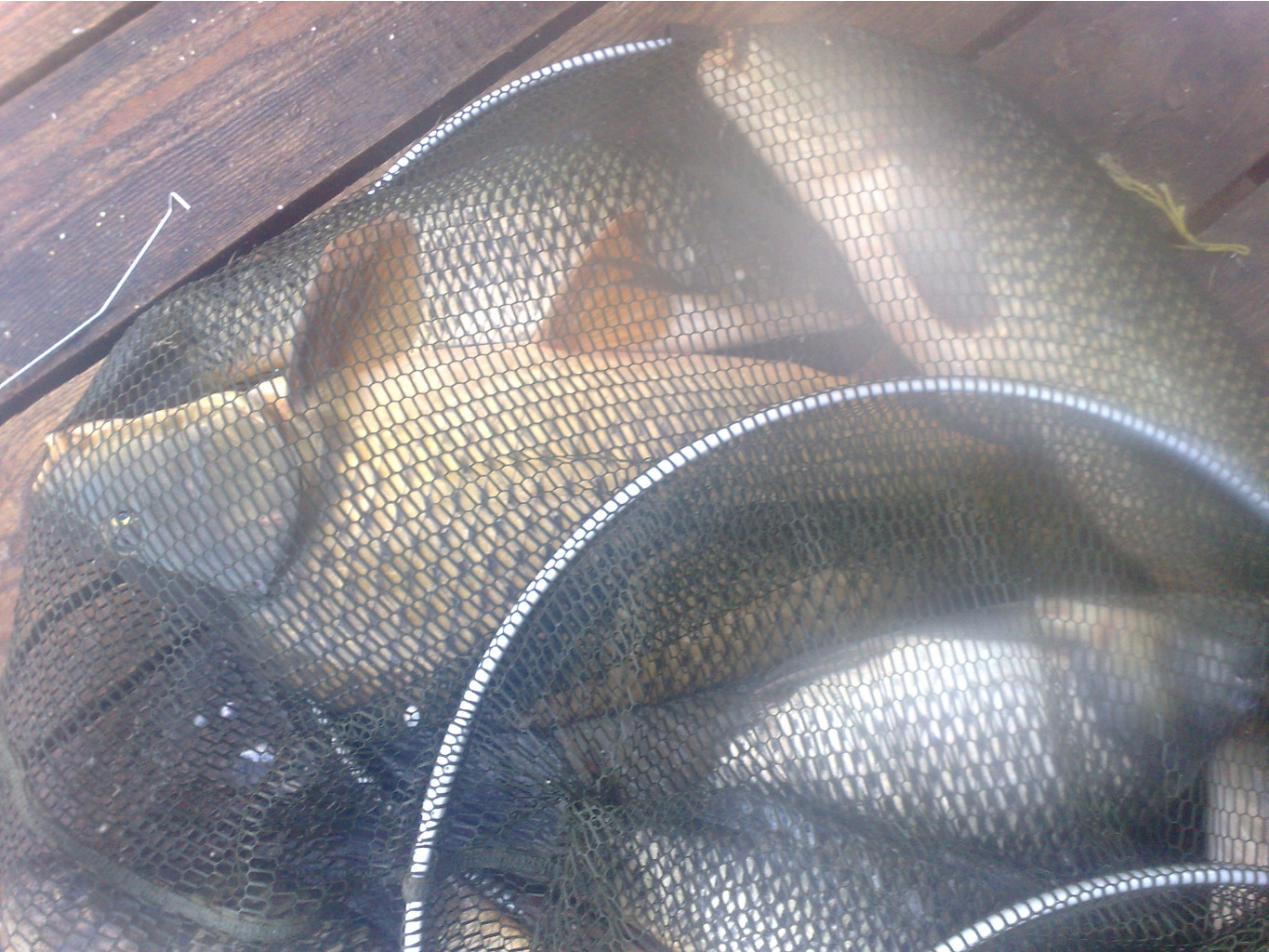 060820111179.jpg