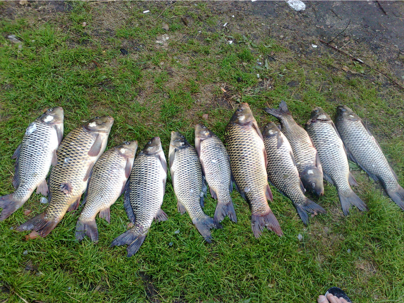 060820111187.jpg
