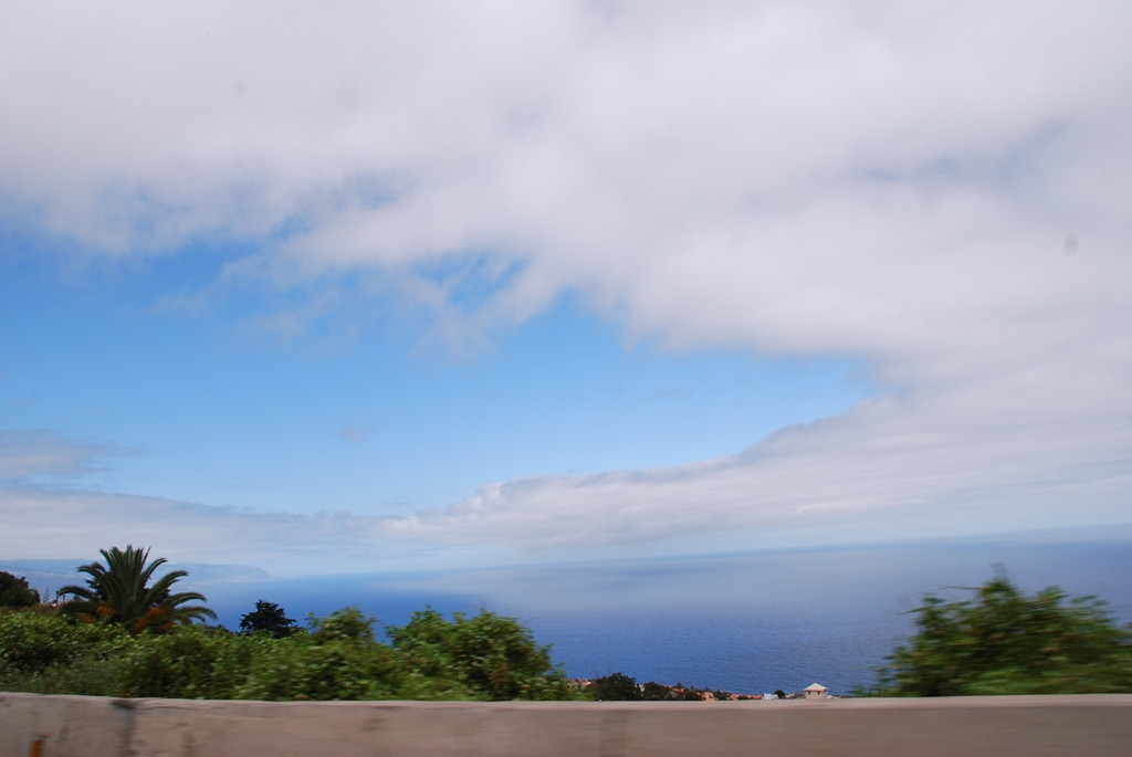 DSC_1537.JPG