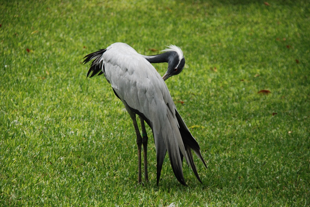 DSC_1675.JPG