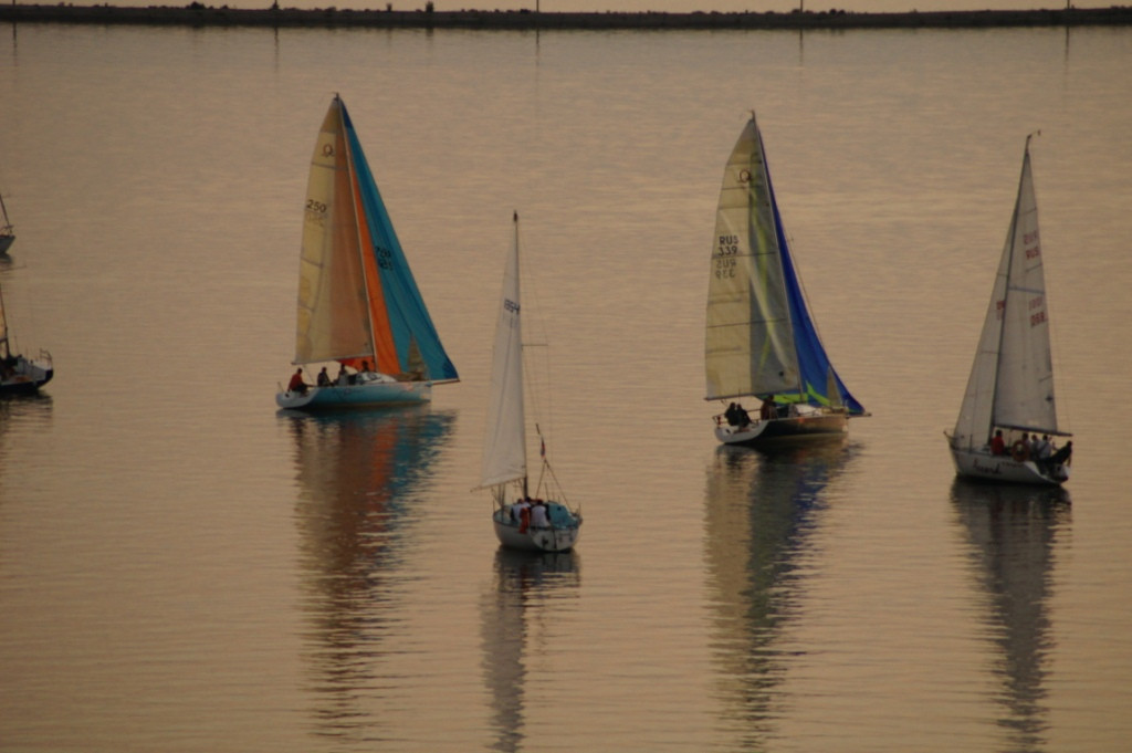 DSC08305.JPG