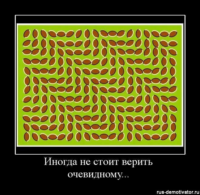 410zccph2yg.jpg