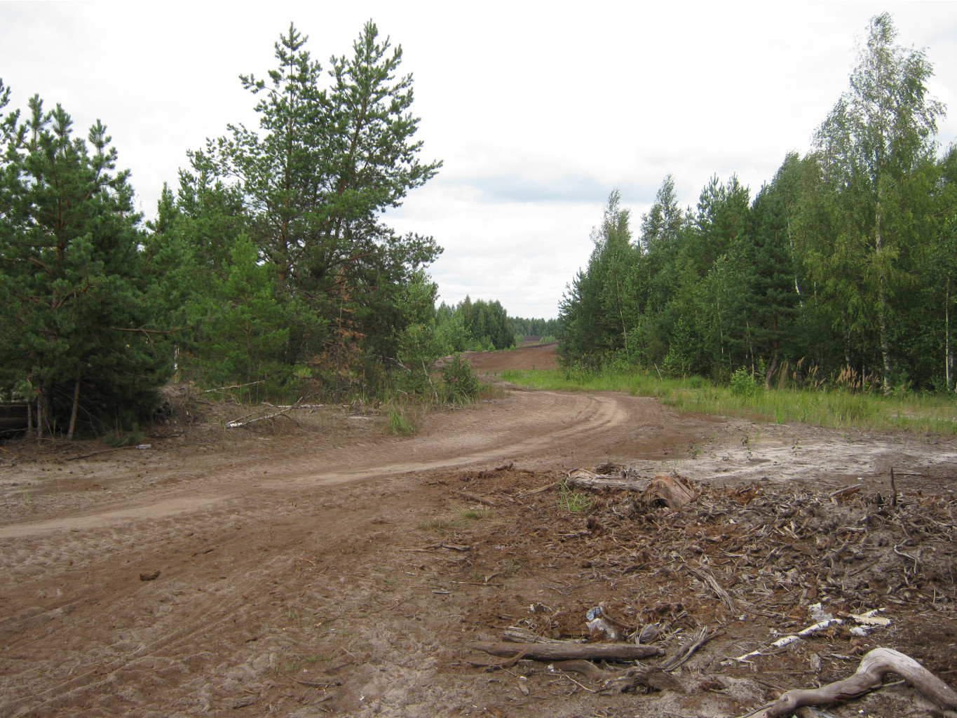 2011-08-06_14-31-31.jpg