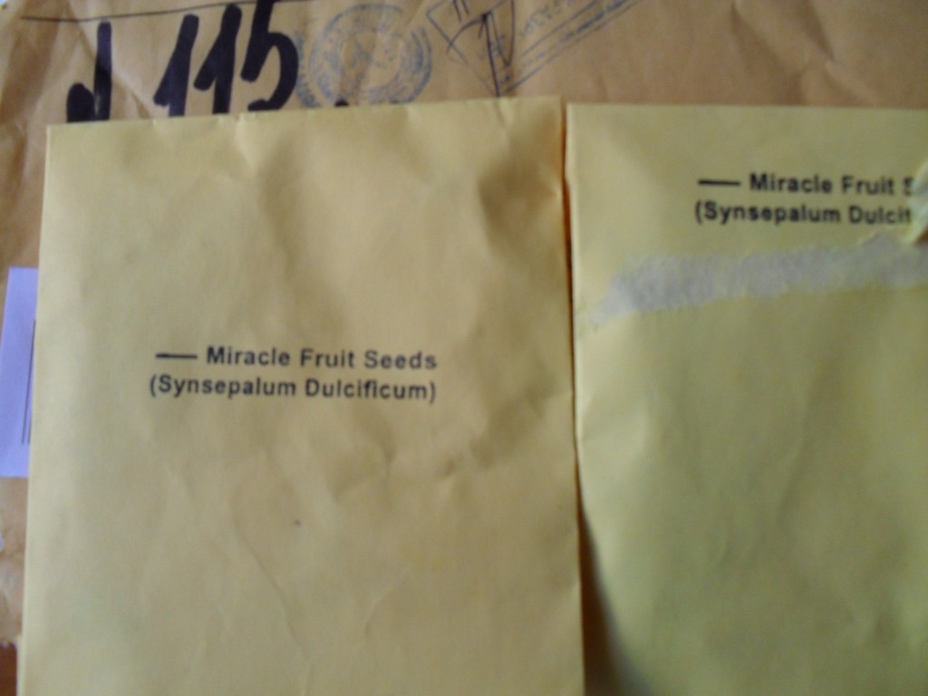 SDC11882.JPG
