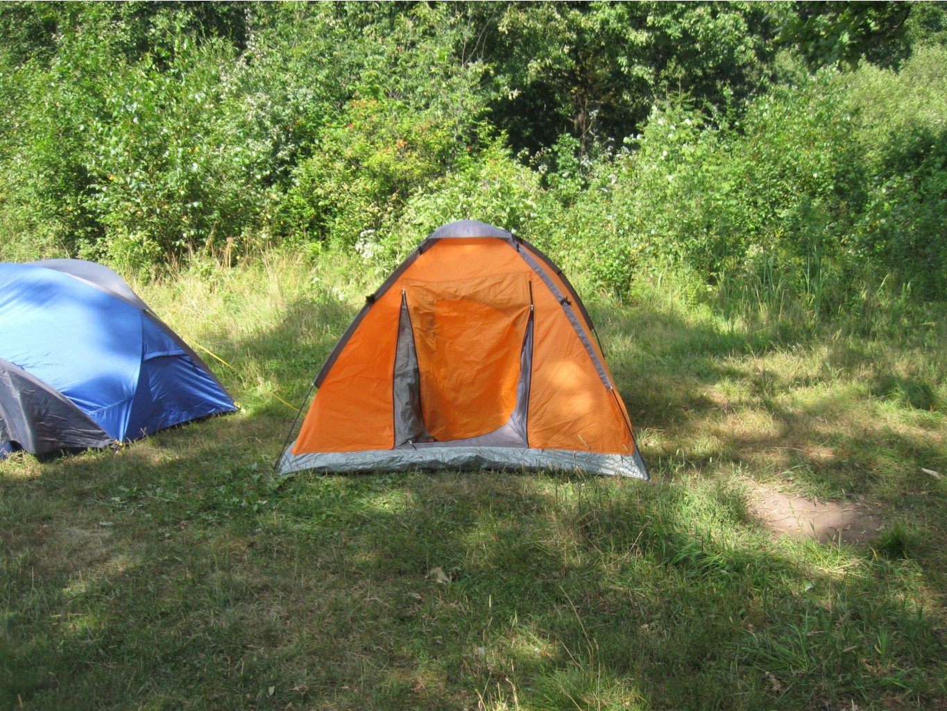 IMG_7200.JPG