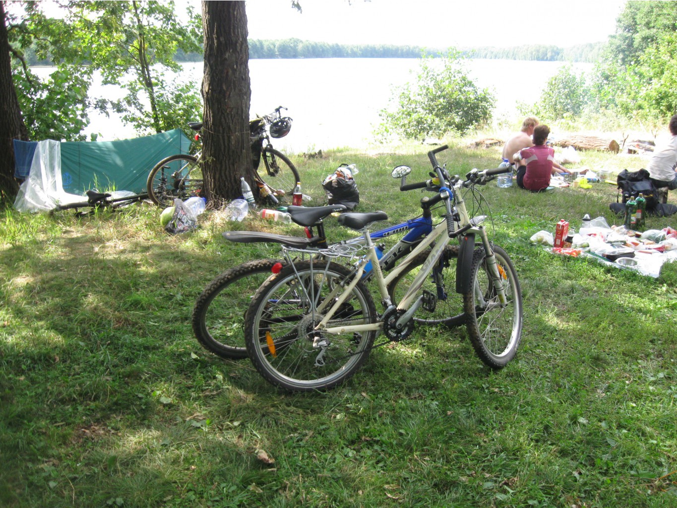 IMG_7202.JPG