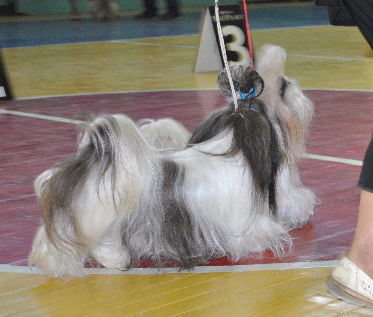 DSC_0612.JPG