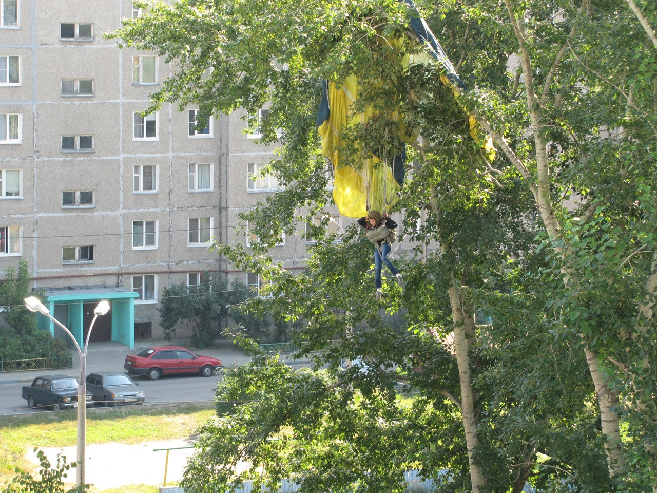38421536-par.jpg