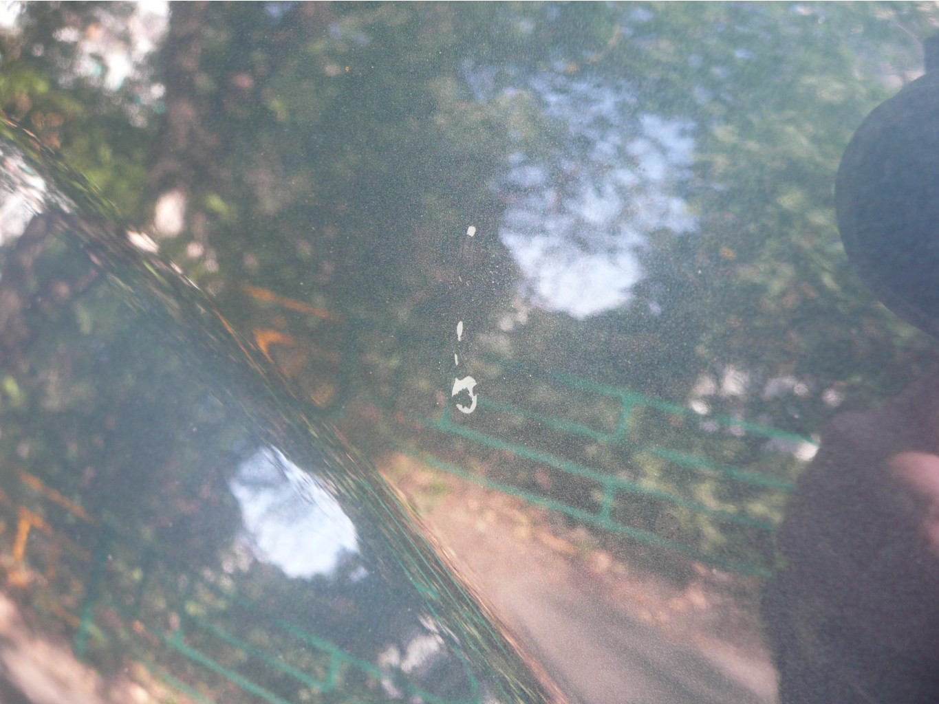P1090445.JPG