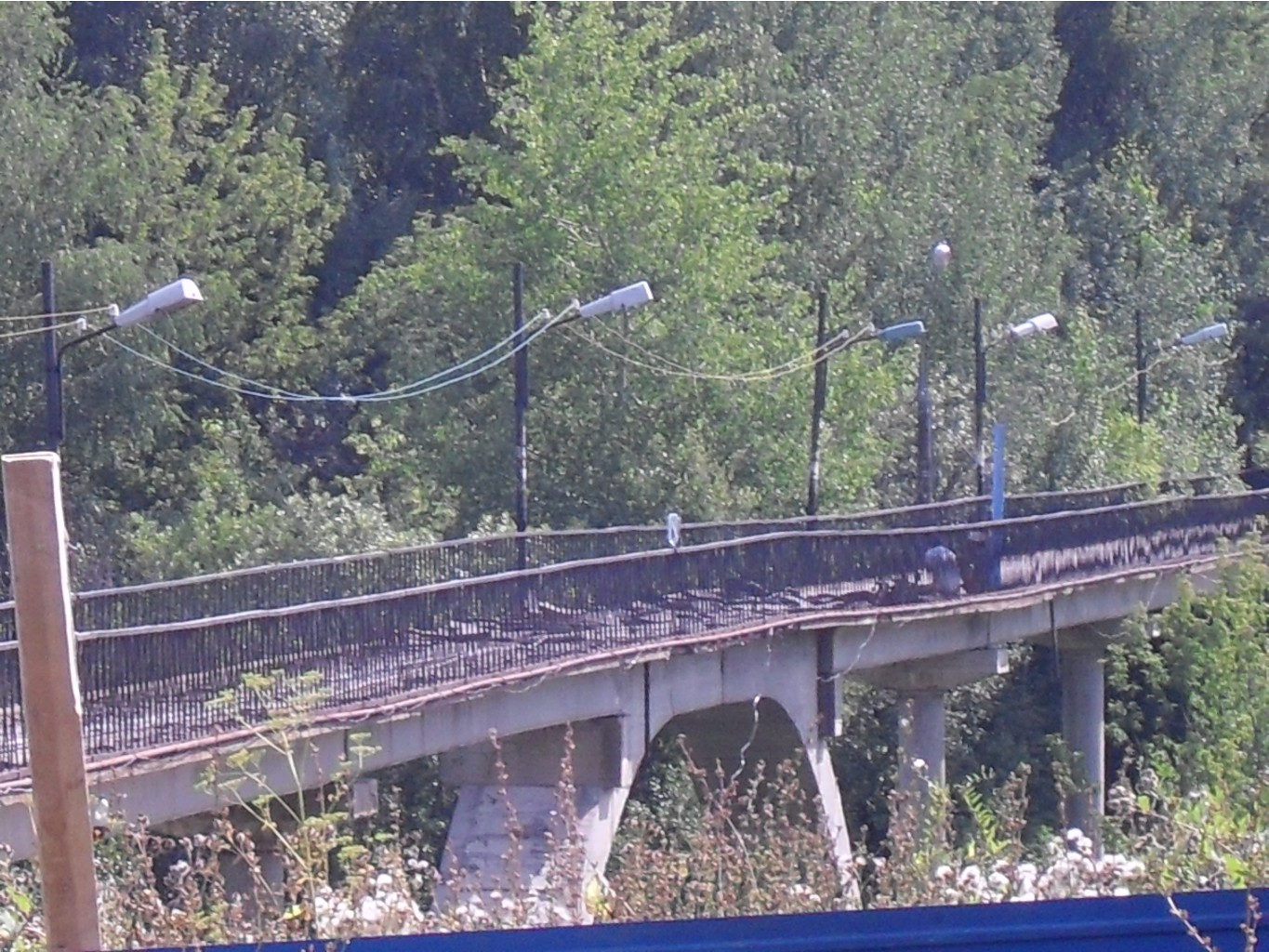 SDC12369.JPG
