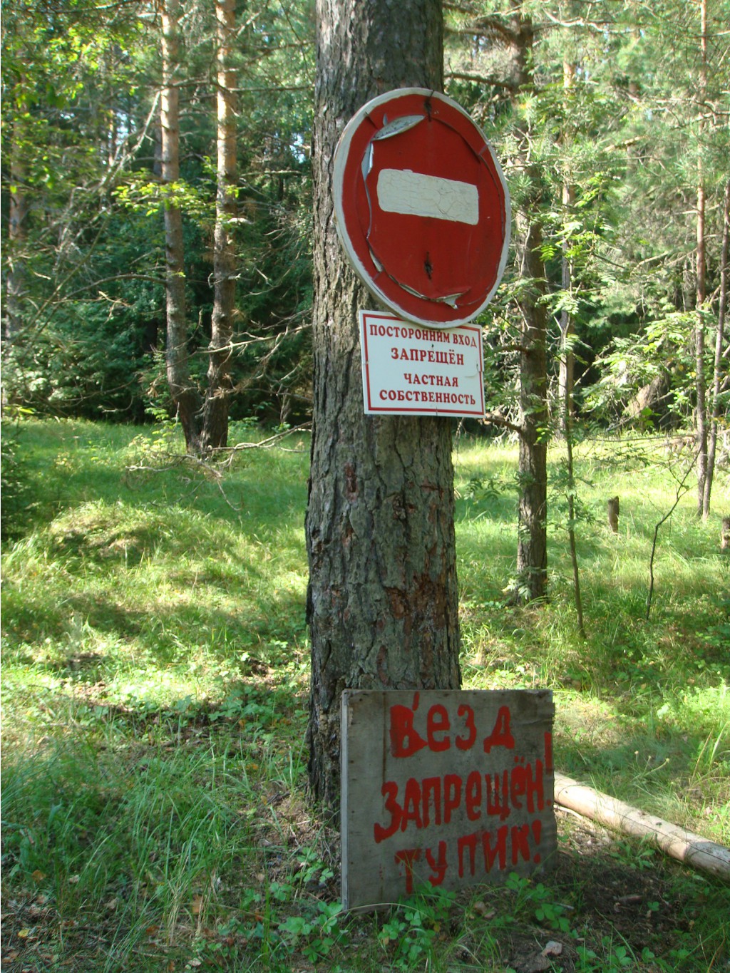 DSC04225.JPG
