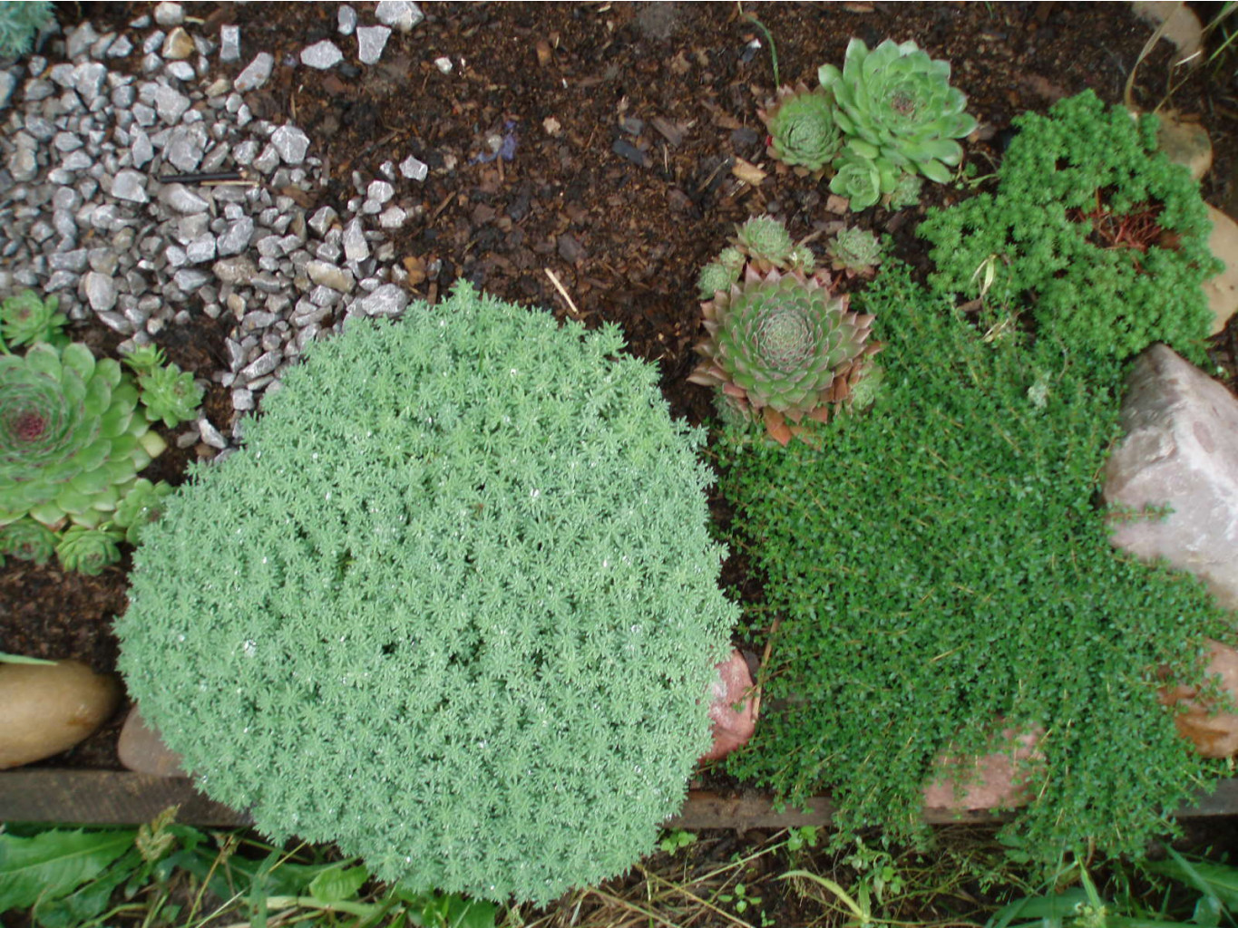 P9010002.JPG