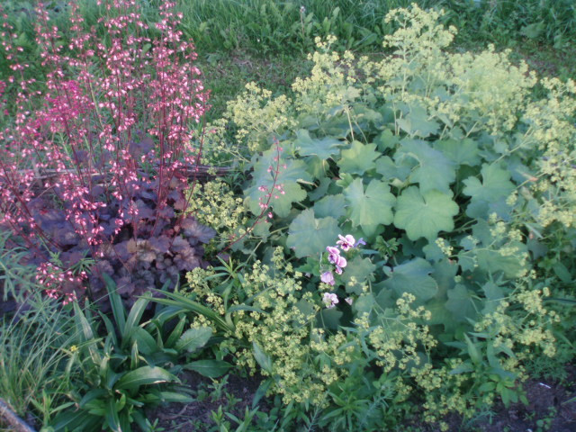 P1010016.JPG