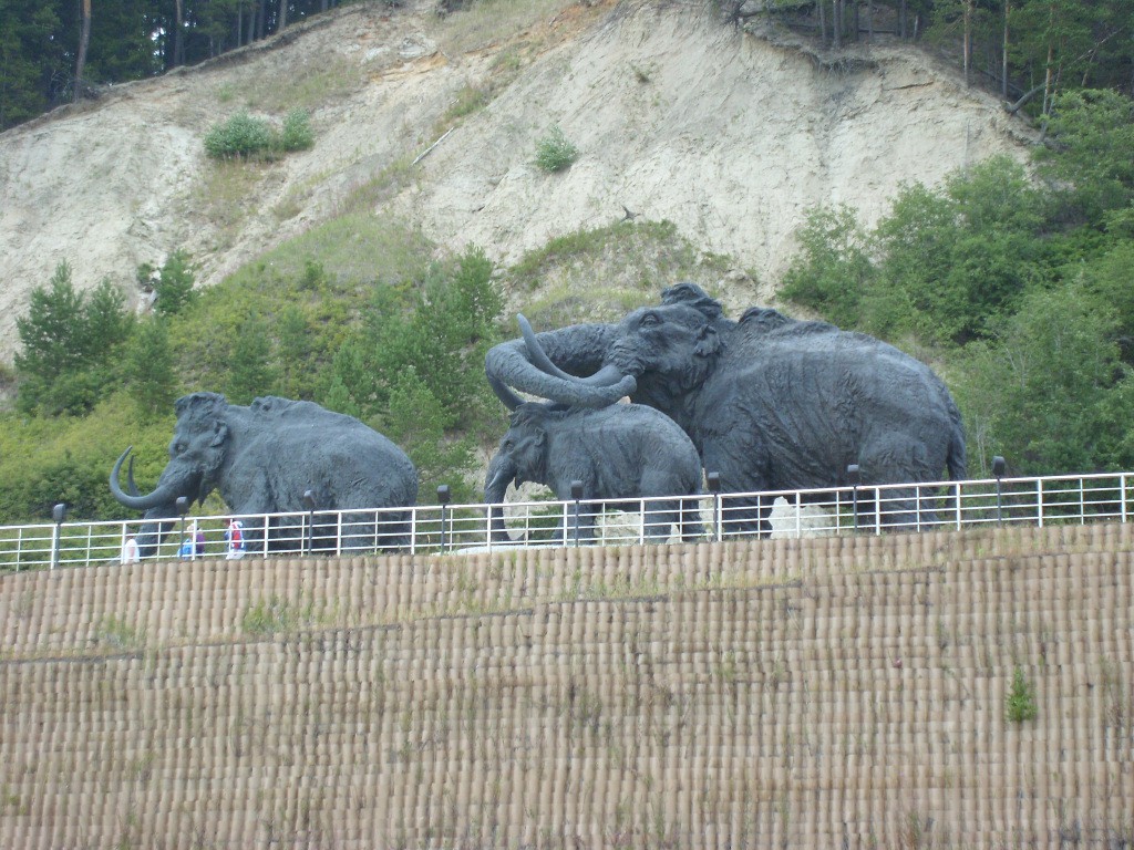 SL734544.JPG