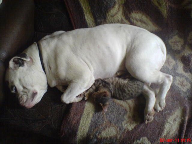 DSC00508.JPG