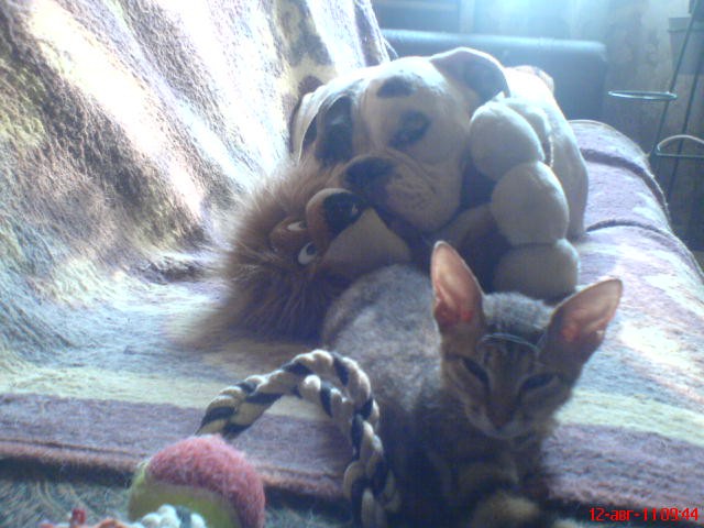 DSC00528.JPG