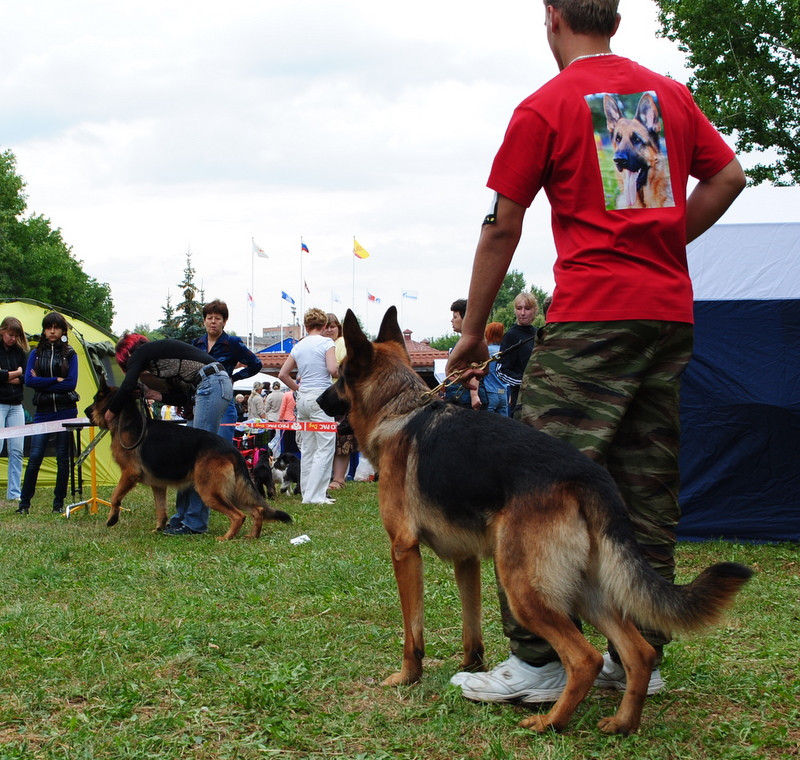 DSC_9700.JPG