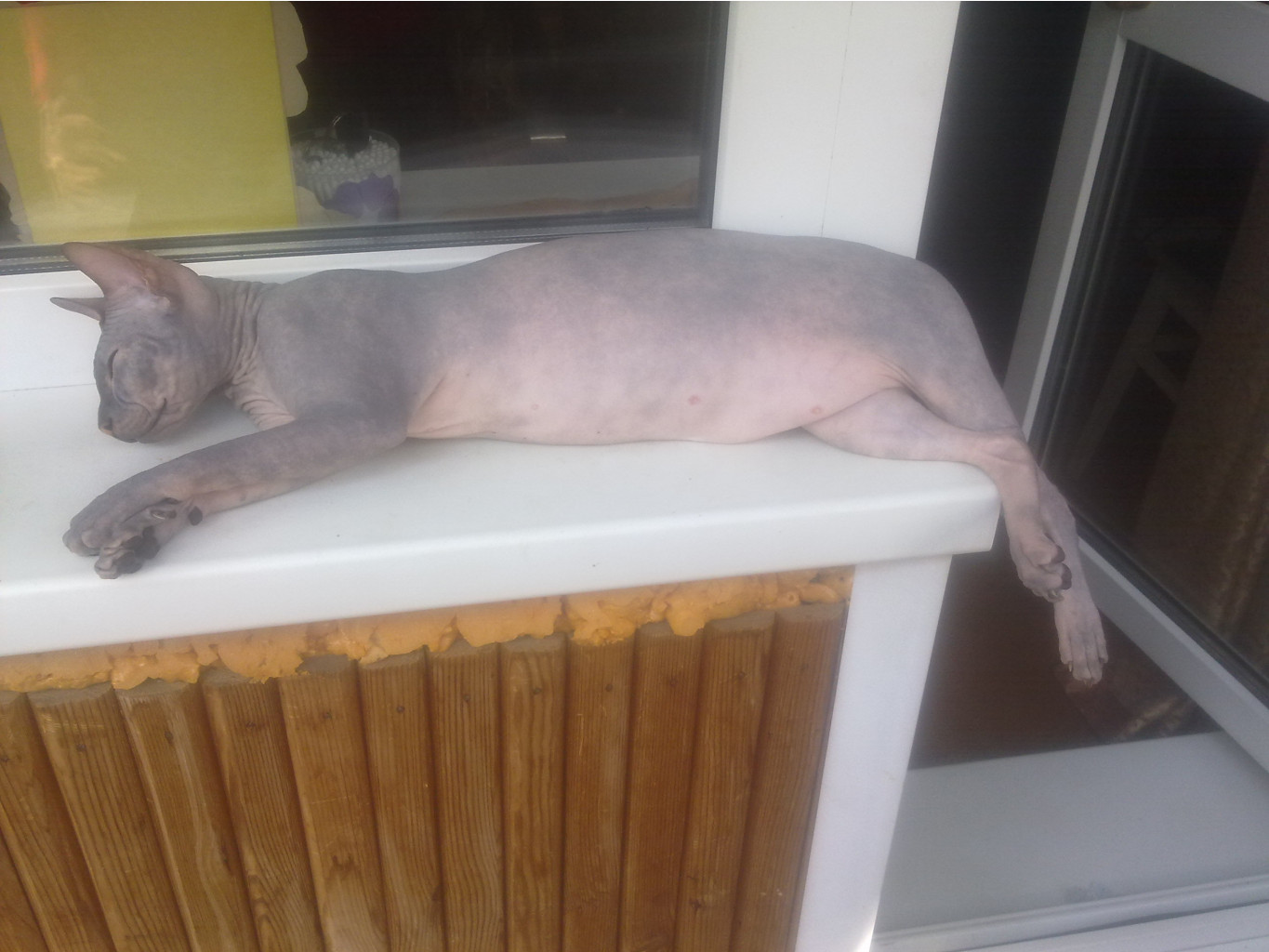 08082011293.jpg