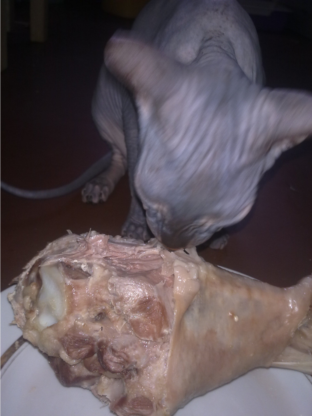 10082011301.jpg