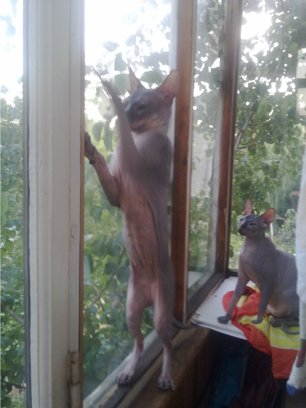 29072011246.jpg